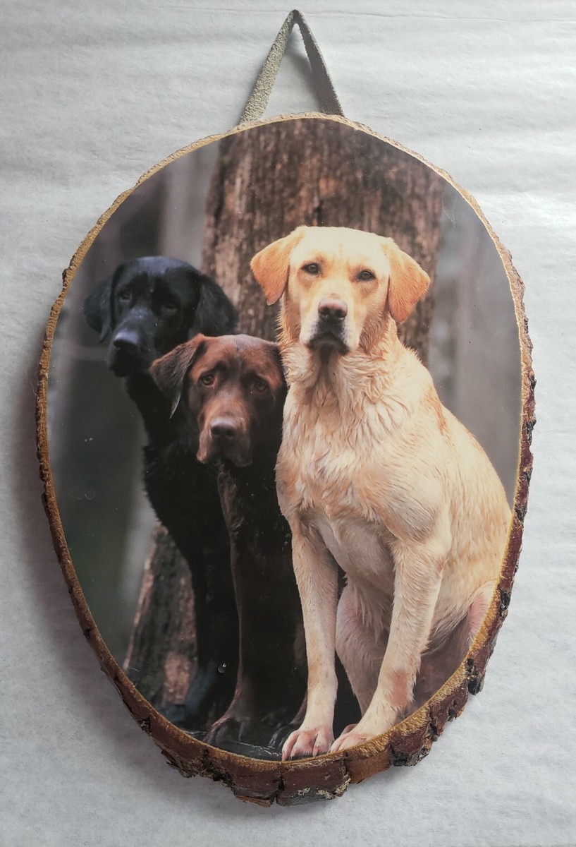 Wood Wall Plaque Labs Labrador Retriever Chocolate Yellow Black Wisconsin  Dells