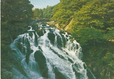 Swallow Falls Betws-y-Coed Wales UK malerischer Wasserfall Postkarte Lachs