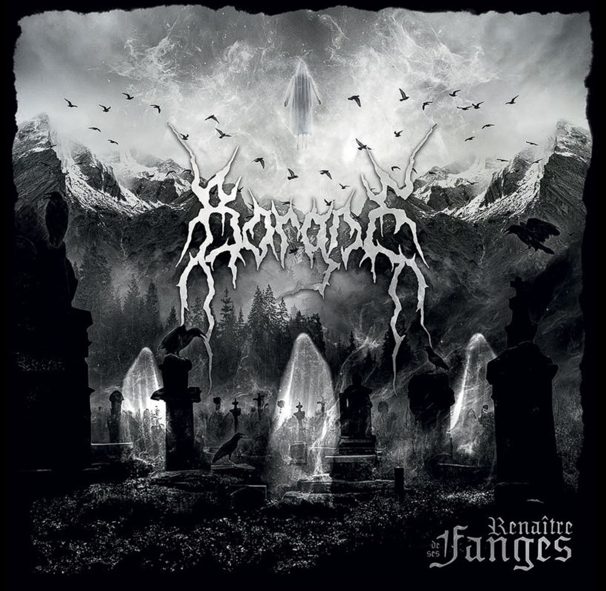 Альбом Borgne Renaître De Ses Fanges (винил), 12 (ИМПОРТИРОВАН из Великобритании)