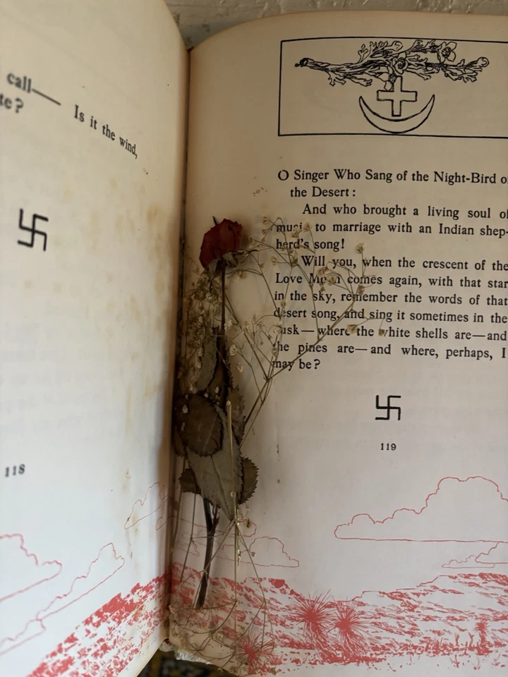 Páginas botánicas antiguas herbario flores prensadas reales plantas hojas especímenes Foto 3 de 4