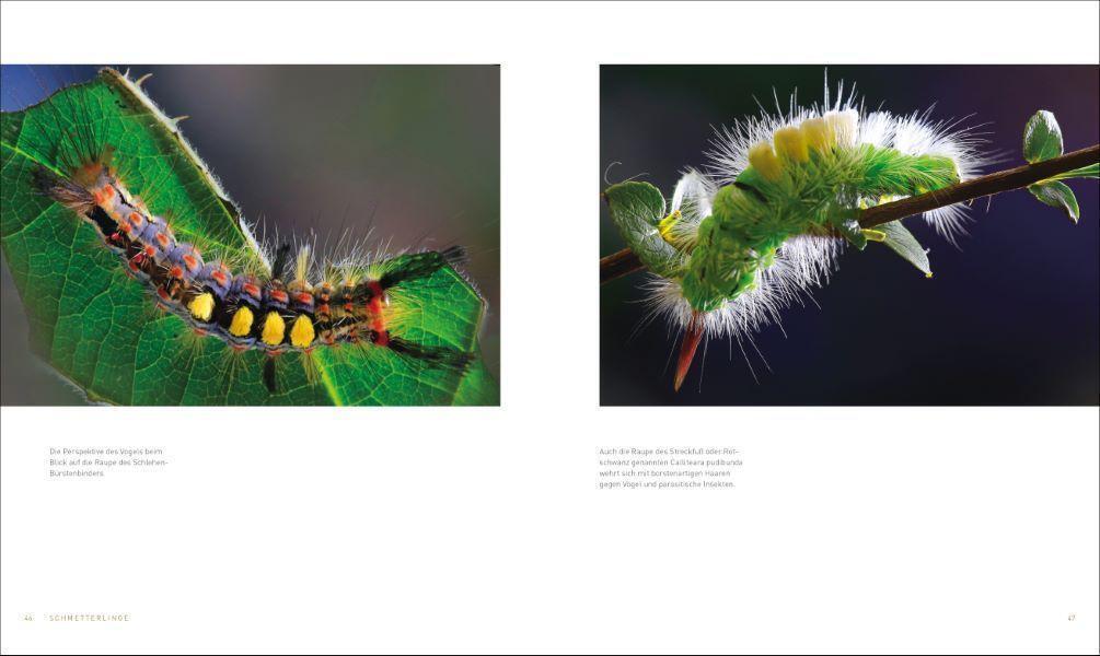 Thumbnail - Unsere Einzigartige Insektenwelt | Josef H. Reichholf (u. A.) |