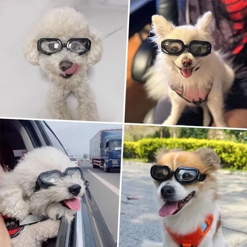 Fashion Small Dog Sunglasses UV Protection Goggles Pet Accessories for Dogs - Picture 15 of 22