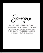 Scorpio Passionate Independent Unafraid To Blaze Trail Zodiac Astronomy -MAGNET