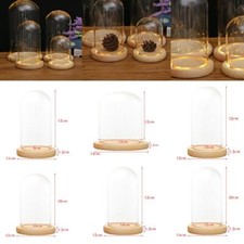 Glass Display Dome Wooden Base LED Decorative Miniature Landscape Ornament