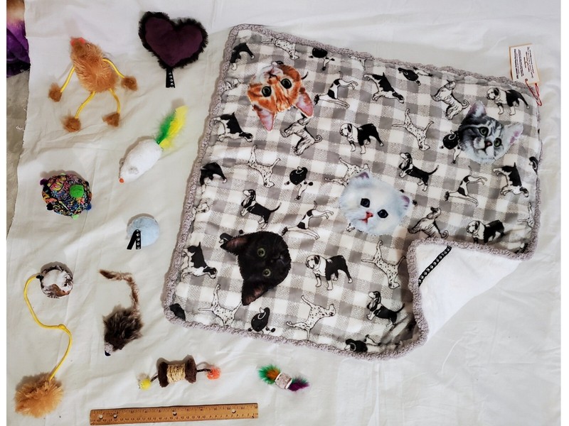 Extra Thick! KITTY CAT LOUNGER KNEADING BLANKET MAT 'G' ~ Cats & Dogs  +8 TOYS