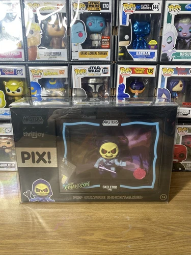 Skeletor Thrilljoy Pix Chase