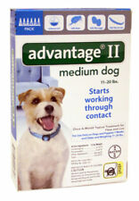 Bayer Advantage II for Medium Dogs (11 - 20 Lbs) - 6 Month Supply
