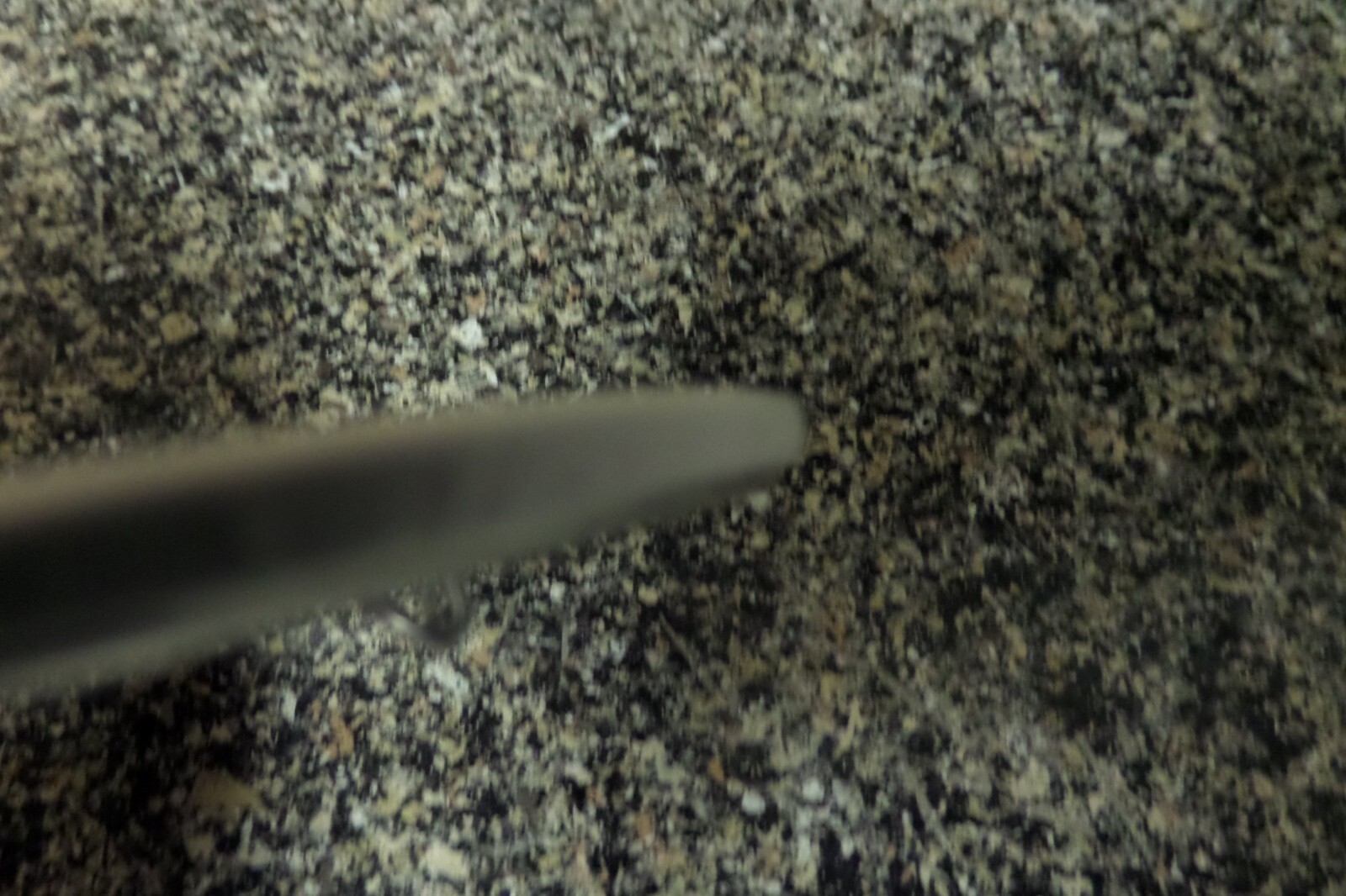Picture 5 of 7