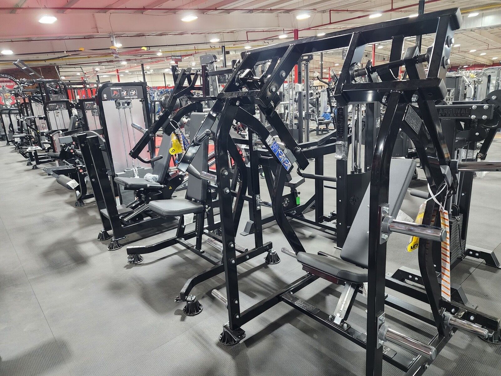 Tumult er nok lilla Huge Hammer Strength Gym Package Commercial Equipment Ready To Ship | eBay
