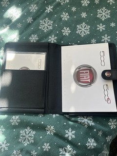 Fiat 500 Handbook and Case