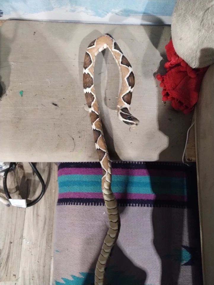 PNW bastón de madera a la deriva tallado y pintado a mano bastón de serpiente, bastones de madera Foto 4 de 4