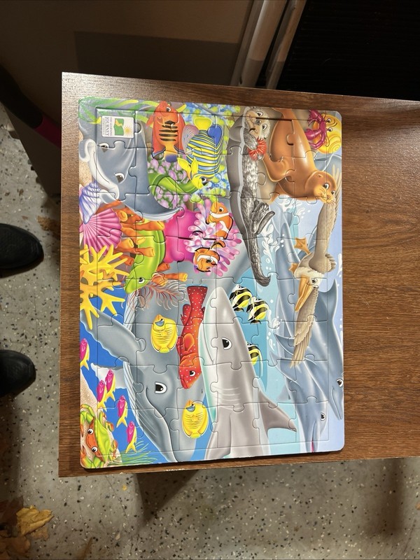 the learning journey puzzles
