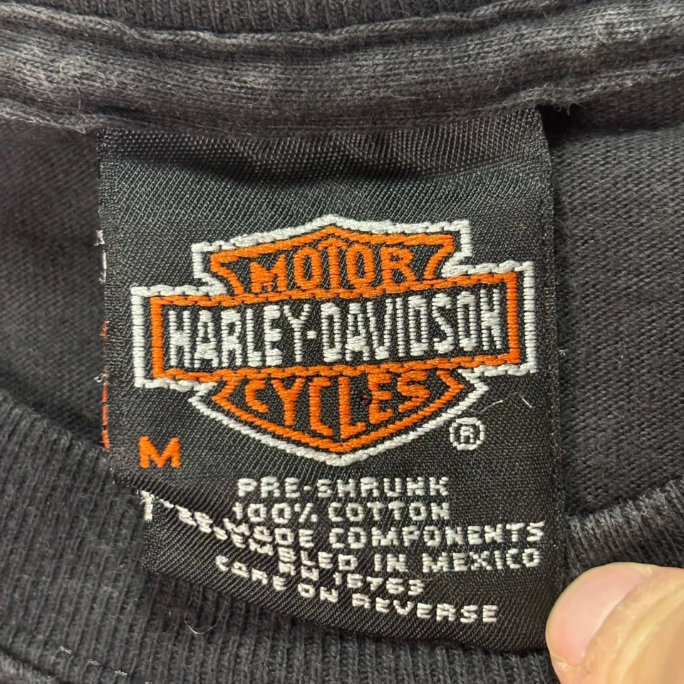 Camiseta Harley-Davidson Looney Tunes para hombre M Running with the Pack Taz Bugs Bunny Foto 2 de 4