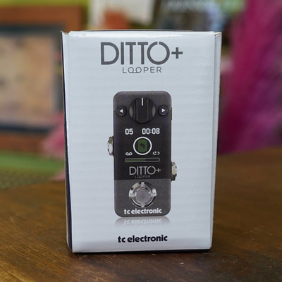 TC Electronic DITTO+ LOOPER Gitarreneffektpedal