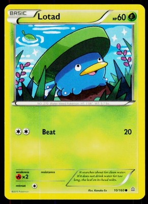 Lotad Common XY - Primal Clash 10/160 MP
