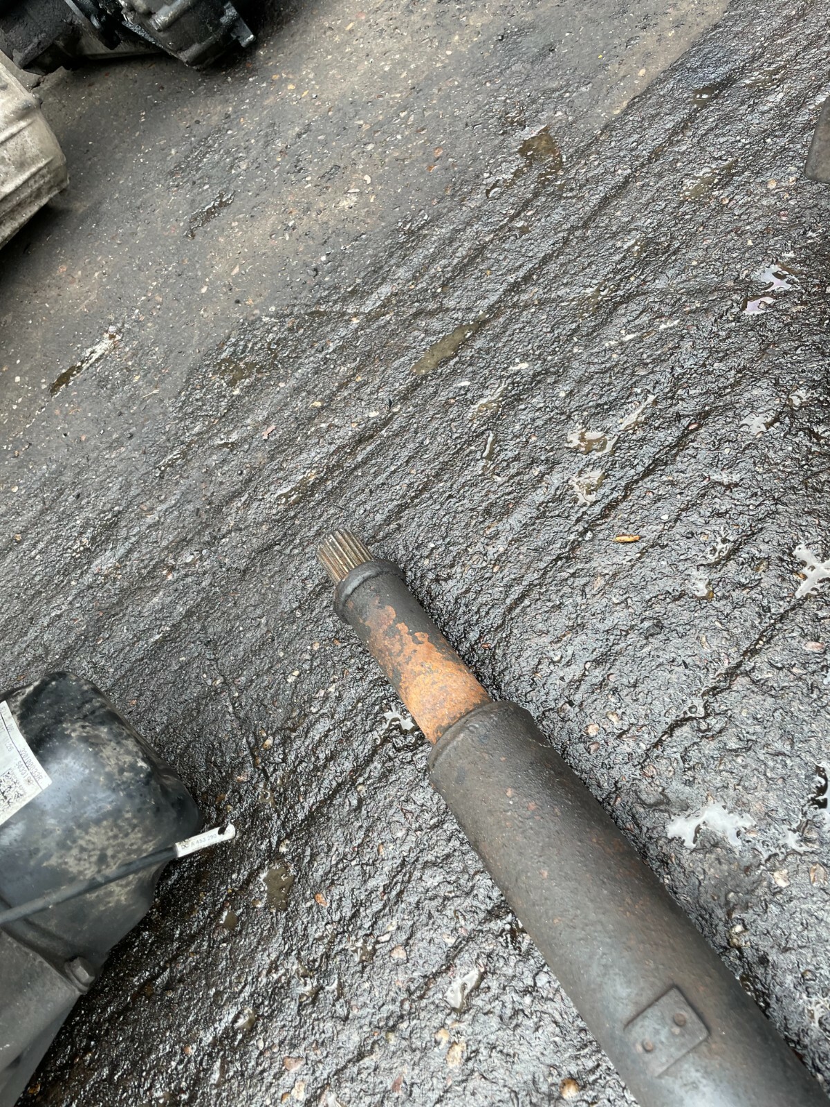 Picture 4 of 4