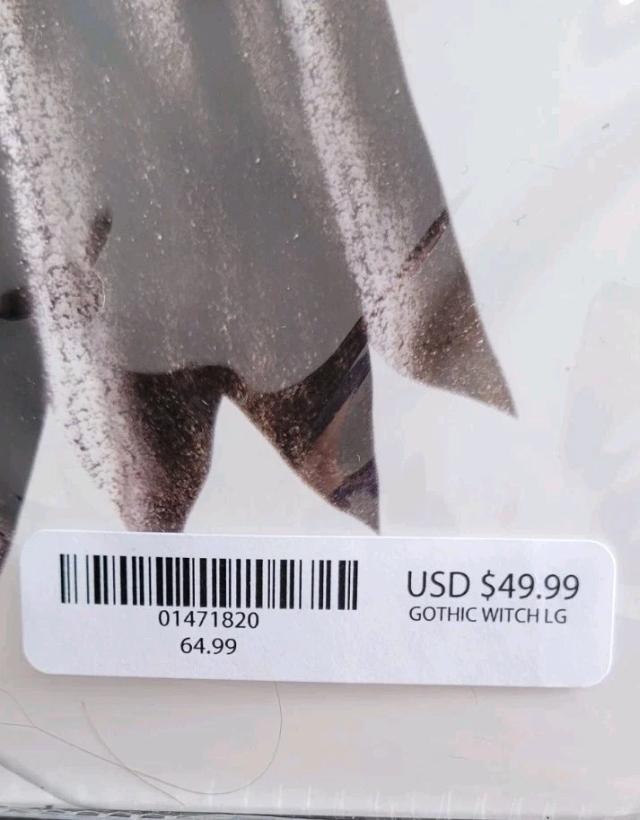 Spirit Gothic Witch Halloween Costume Size Child Large 12-14 Dress, Hat & Choker - Image 4 of 4