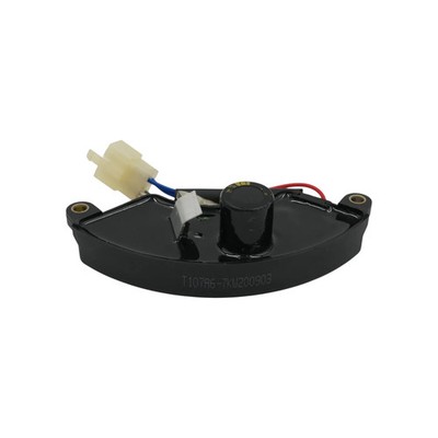 Automatic Voltage Regulator 7kW T107A6 (NEW)
