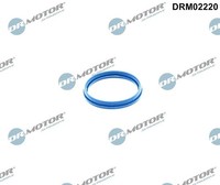 Dr.Motor Automotive Dichtung, AnsaugkrüMmergehäUse U.A. FüR Ford, Ldv