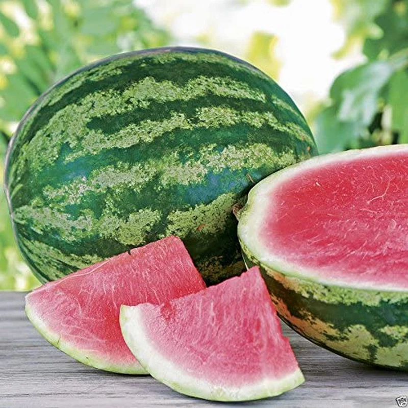 Triple Crown Hybrid Watermelon Seed (Seedless) One the Best-Tasting Red  Variety 313102956961 | eBay