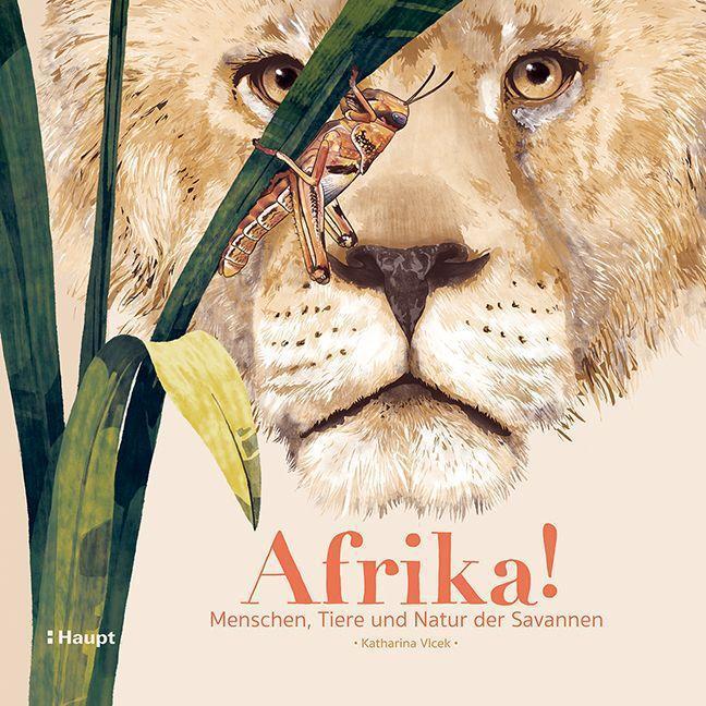Thumbnail - Afrika Katharina Vlcek