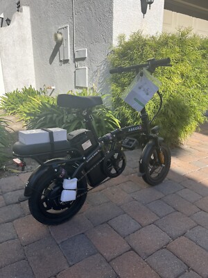 Asgurd E Bike