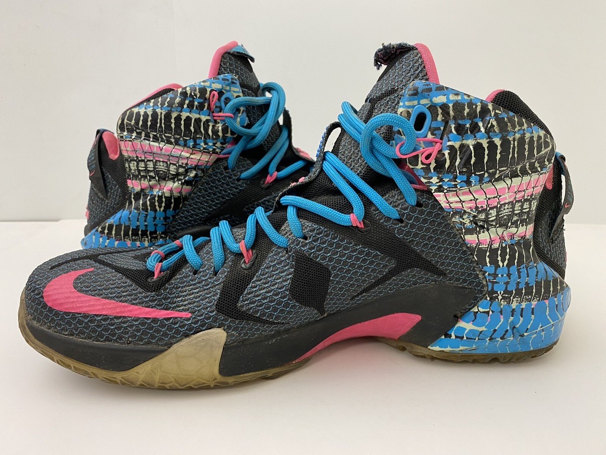 Size 11.5 - Nike LeBron 12 23 Chromosomes for sale online | eBay