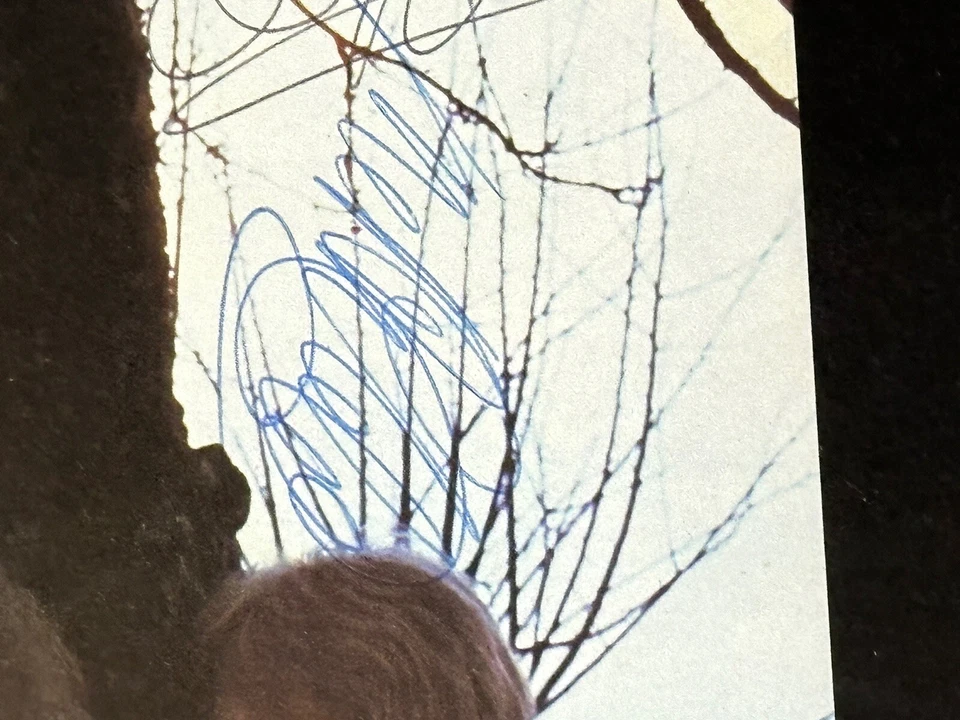 PROG / Barclay James Harvest: '1972 vinyl LP framed and glazed, autographed! Foto 3 de 4