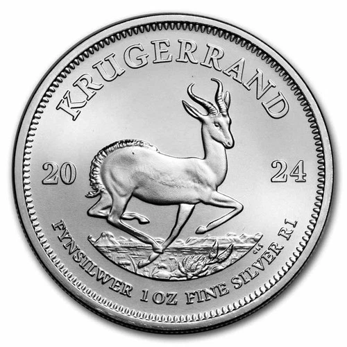 2024 Silver Krugerrand 1 oz — photo from another recent sale