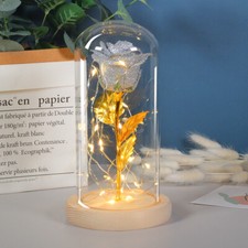 Valentines Day Gift  For Girlfriend Eternal Rose Flowers LED Light In Glass Cove