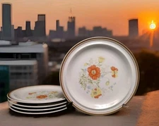  5 COLONIAL Stoneware Caroline DINNER PLATE 10.5"D Japan