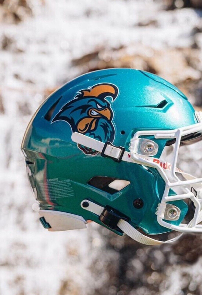 Custom Full Size Football Helmet Decal Set 20 mil 3M Speed