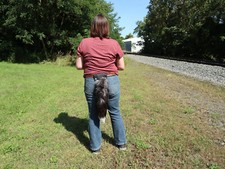 Wearable Cosplay Real Fox Tail with Belt Attachment 1429-F-G8523 Y1F