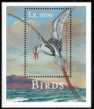 Sierra Leone 2000 - Birds - Souvenir Stamp Sheet - Scott 2304 - Mnh