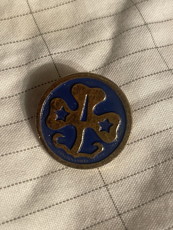 Girl Scouts Enameled Trefoil Pin Vintage World Association Blue Gold Tone