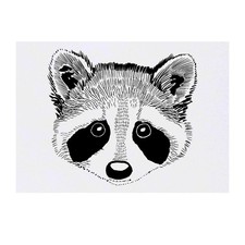 'Racoon Head' Temporary Tattoos / Transfers TO00031011 