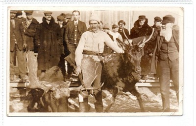 Ansichtskarte von Walter Cole nach Schießfahrt, Prinz Albert Sask (C90893)