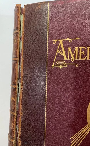 American Art and American Art Collections Vol I/II Ed. by Walter Montgomery 1889 - Imagen 6 de 12