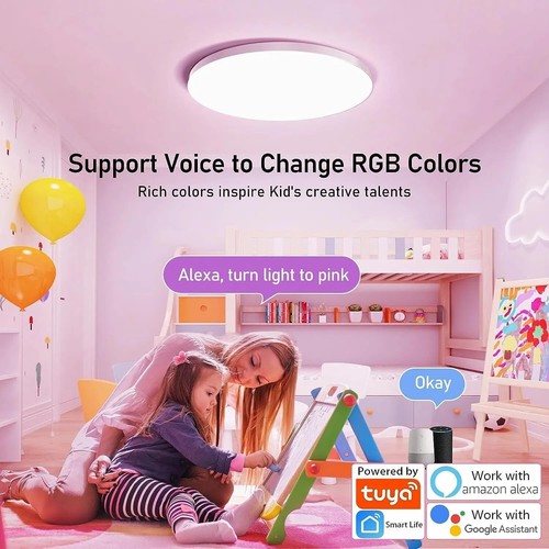 Smart Ceiling Light 24W 12" Flush Mount - Alexa & Google Home Compatible RGB LED - Picture 2 of 7