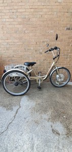 mission electric trike