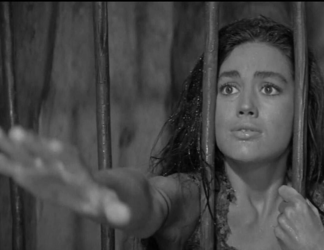 Linda Harrison In Planet Of The Apes Classic Movie Photo Print 8 X 10 Ebay