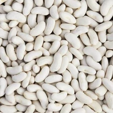 Large cannellini beans