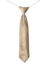 Boys Bronze Ties, Elasticated Tie, Boys Slim Ties, Bronze Accessories, Gold Tie
