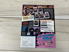 Acclaim Masters of the Game Promo Newsletter Iron Sword Double Dragon NES Cover