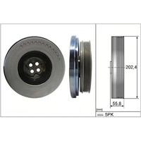INA Riemenscheibe Kurbelwelle FüR Mercedes W205 W213 X/C253 Sprinter W447 OM654