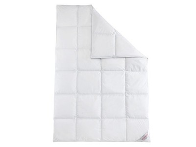 Sannwald Daunen-Kassettenbettdecke »Dream«, warm (240x220 cm) - B-Ware neuwertig