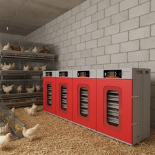 400-Egg Commercial Cabinet Incubator w/ Automatic Temperature Humidity Control
