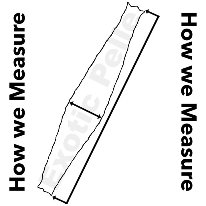 Rosa Neón Grande Genuino Pitón Piel de Serpiente Cuero Piel Real Piel de Serpiente Sonajero 325 Foto 4 de 4