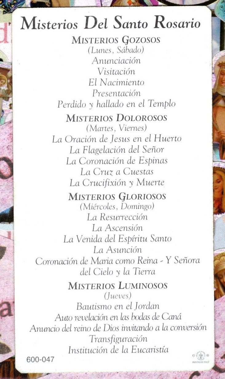 Imagen 3 de 3