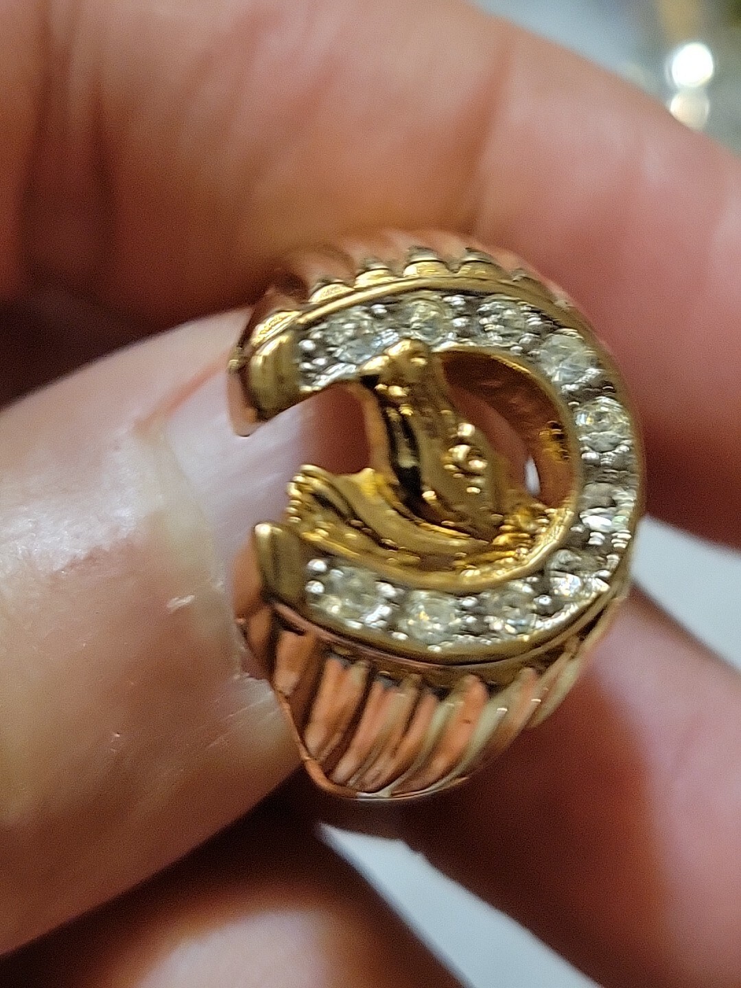 Picture 6 of 10